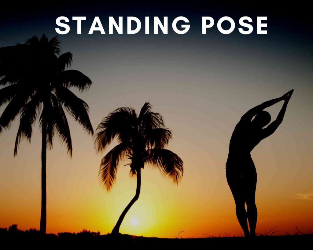 beginning poses for yoga